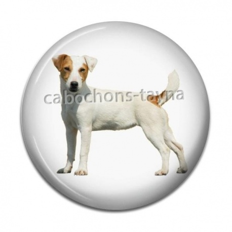 Cabochon Résine - chien