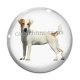 Cabochon Verre - chien
