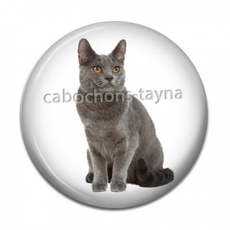 Cabochon Résine - chat