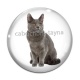Cabochon Verre - chat