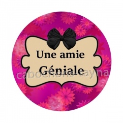une amie géniale