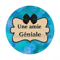 une amie géniale