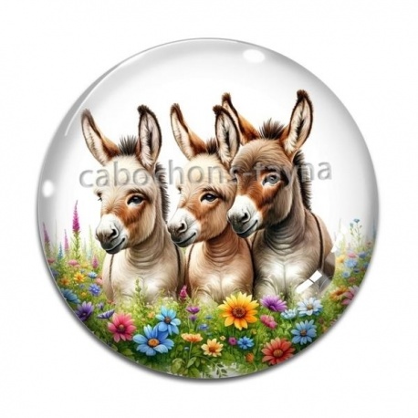 Cabochon Verre - Âne