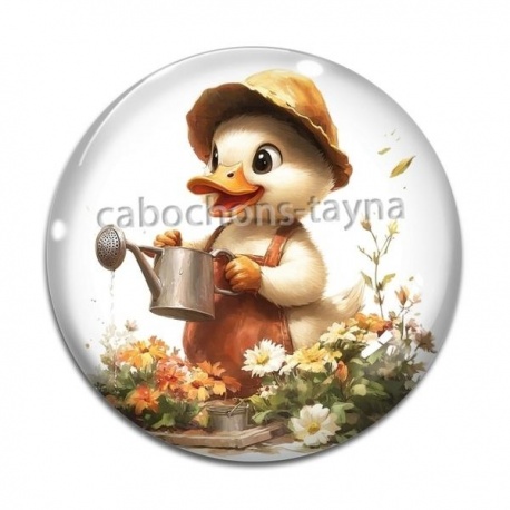 Cabochon Verre - canard