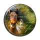 Cabochon Résine - cheval