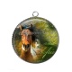 Pendentif Cabochon Argent - cheval
