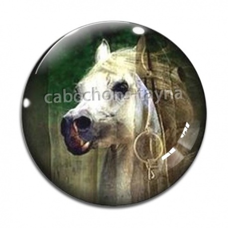 Cabochon Verre - cheval