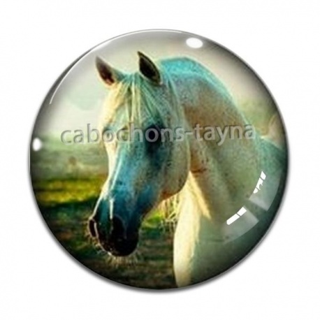 Cabochon Verre - cheval