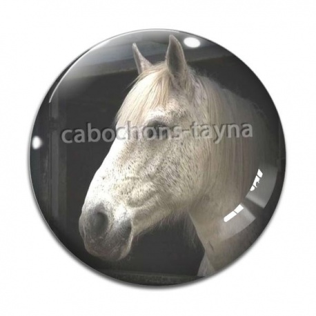 Cabochon Verre - cheval