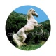 cheval