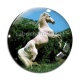 Cabochon Verre - cheval