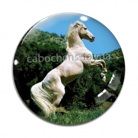 Cabochon Verre - cheval