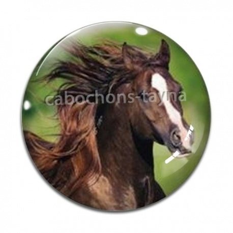 Cabochon Verre - cheval