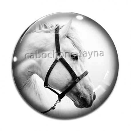 Cabochon Verre - cheval