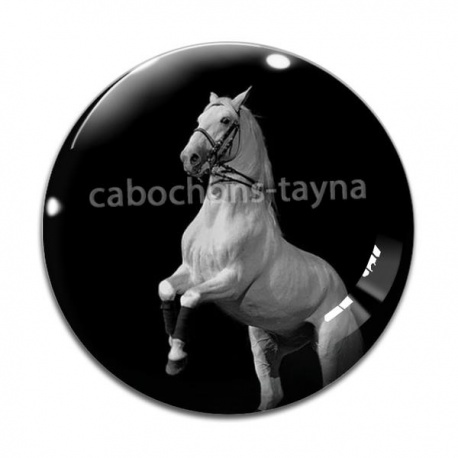 Cabochon Verre - cheval