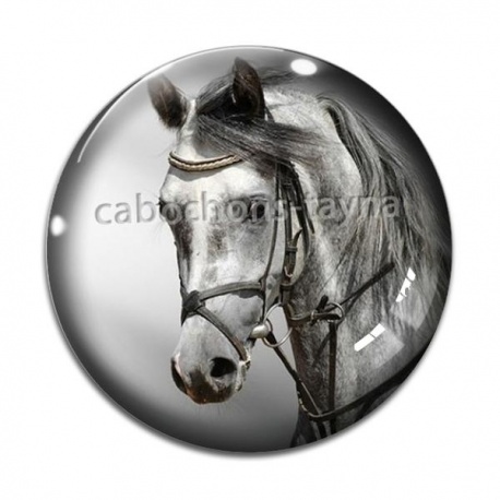 Cabochon Verre - cheval