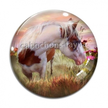Cabochon Verre - cheval