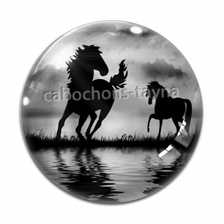 Cabochon Verre - cheval