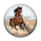 Cabochon Résine - cheval
