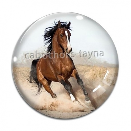 Cabochon Verre - cheval