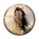 Cabochon Verre - cheval