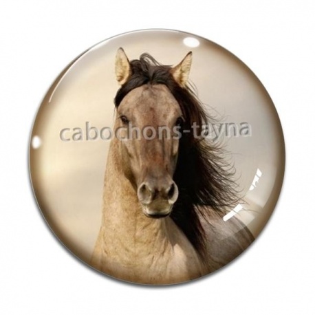Cabochon Verre - cheval