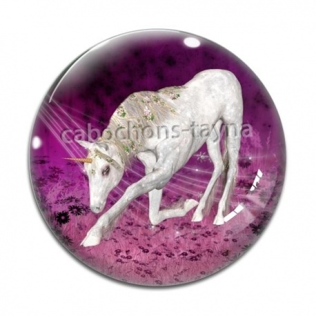 Cabochon Verre - licorne