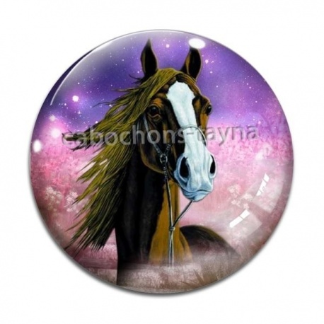 Cabochon Verre - cheval