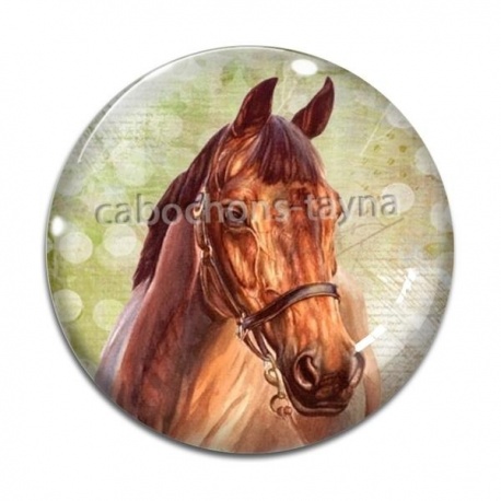 Cabochon Verre - cheval