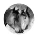 cheval