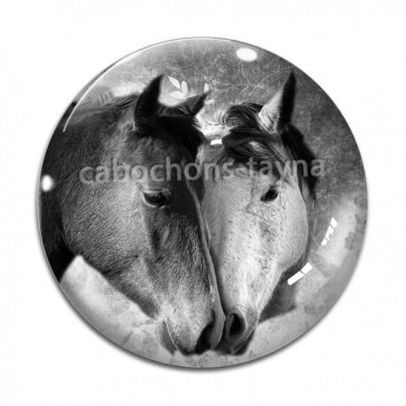 Cabochon Verre - cheval