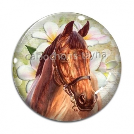 Cabochon Verre - cheval