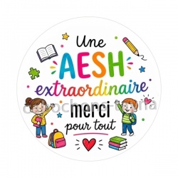 une AESH extraordinaire merci pour tout