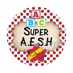  AESH