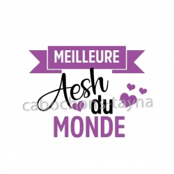 meilleur  AESH du monde