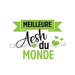meilleure AESH du monde
