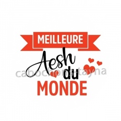 meilleure AESH du monde