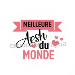 meilleure AESH du monde