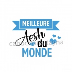 meilleure AESH du monde