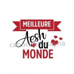 meilleure AESH du monde
