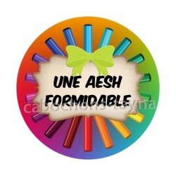 une AESH formidable