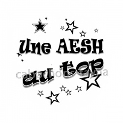 une AESH au top