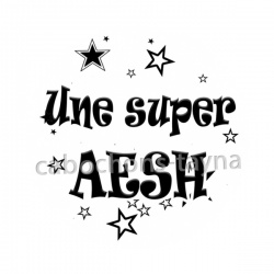 une super AESH