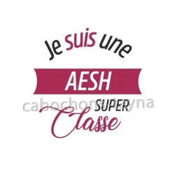 Je suis une AESH super classe