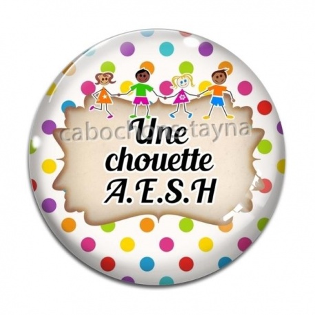 Cabochon Verre - une chouette AESH