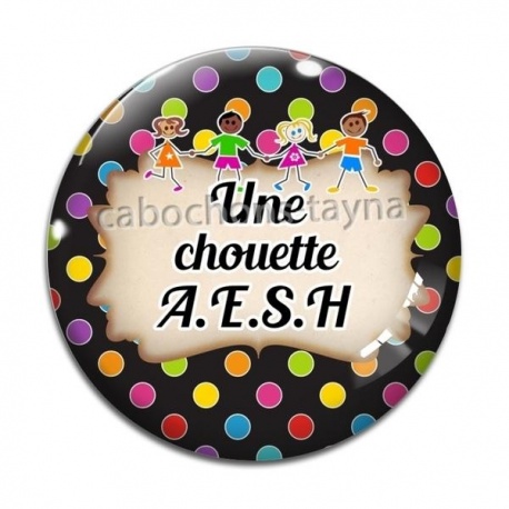 Cabochon Verre - une chouette AESH