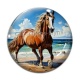 Cabochon Verre - cheval