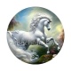 licorne