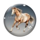 Cabochon Verre - cheval