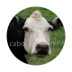 vache